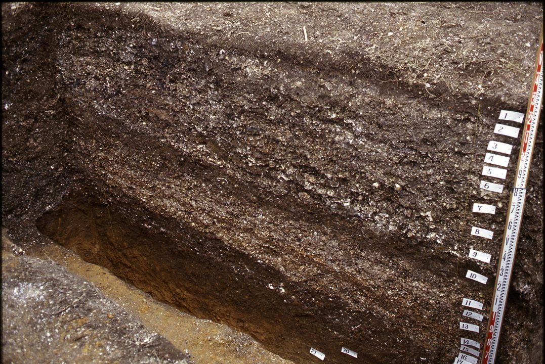 いわて遺跡地図 いわていせきちず