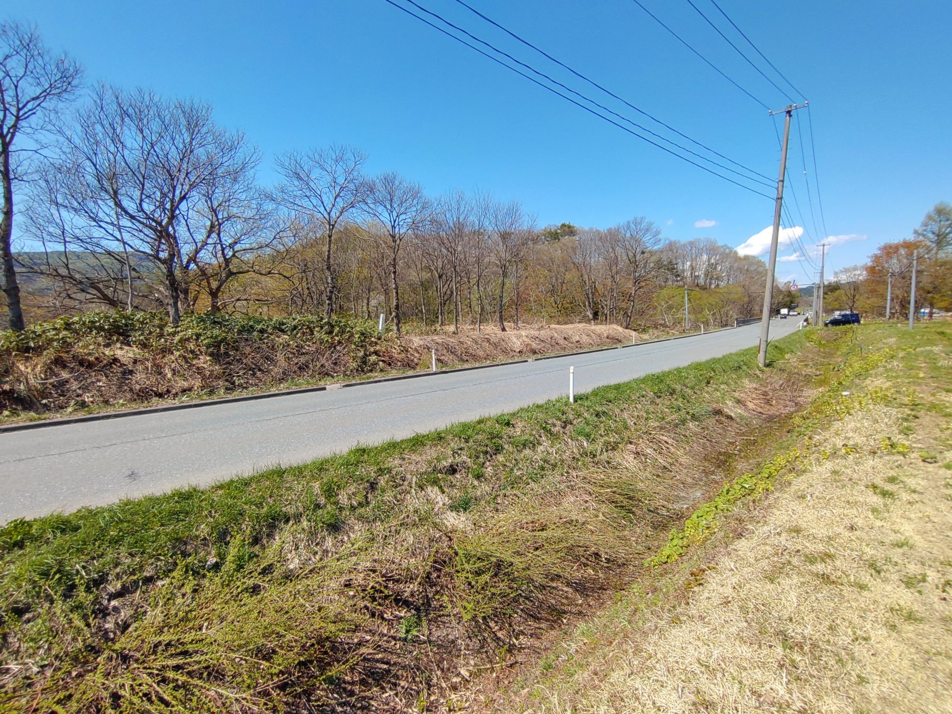 現在の大台野遺跡、国道１０７号線が遺跡の中央を通っている