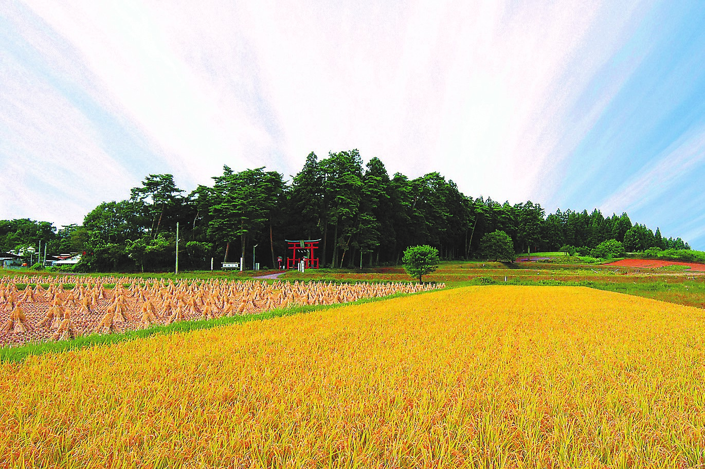 陣が岡陣営跡遠景